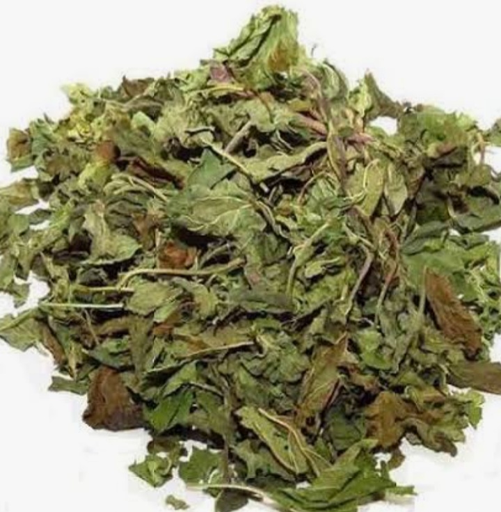 تصویر 2 از گیاه بادرنجبویه صادراتی + خریداستثنایی